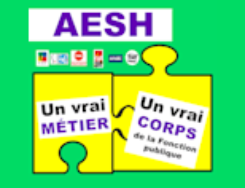 AESH et enseignant.es , venez faire entendre votre voix le 5 novembre à METZ devant la DSDEN !
